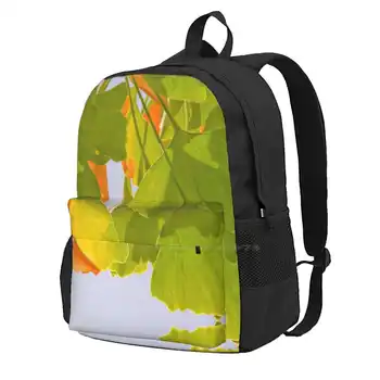 Летняя мода Ginkgo Для путешествий, ноутбук, школьный рюкзак, сумка с абстрактными зелеными листьями дерева Гинкго